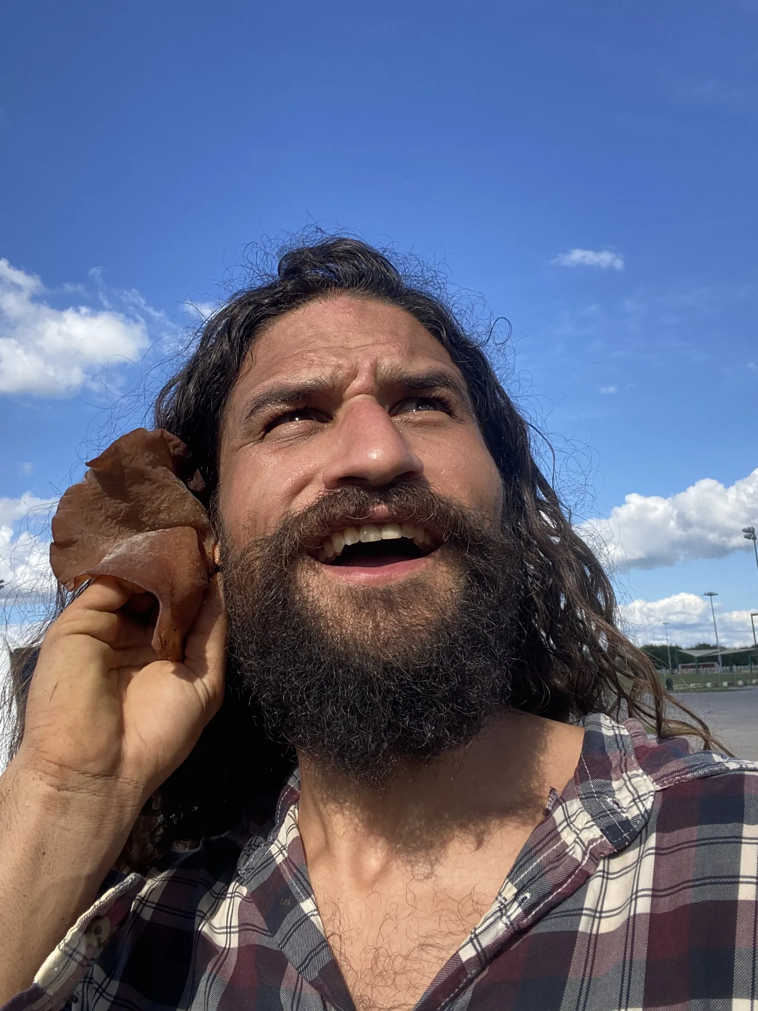 Sam the Fungi with a foraged wood ear mushroom Sam the Fungi with a foraged wood ear mushroom