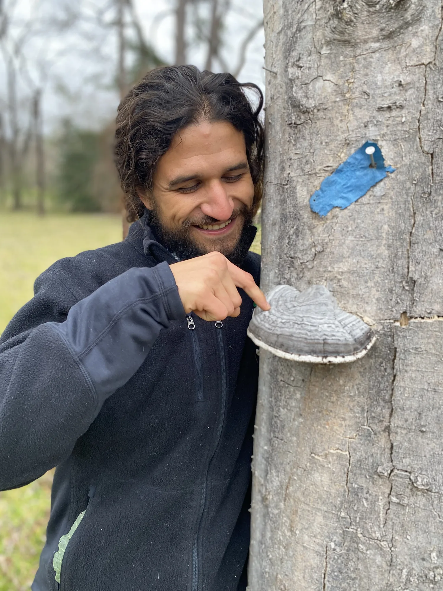 Sam the Fungi identifying a bracket fungus on a tree during a guided walk Sam the Fungi identifying a bracket fungus on a tree during a guided walk